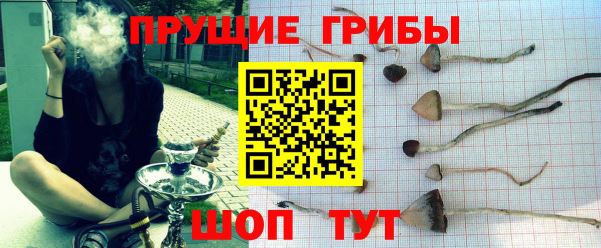 Галлюциногенные грибы мицелий  Псилоцибиновые грибы Cubensis  Дубна  Вход с VPN 