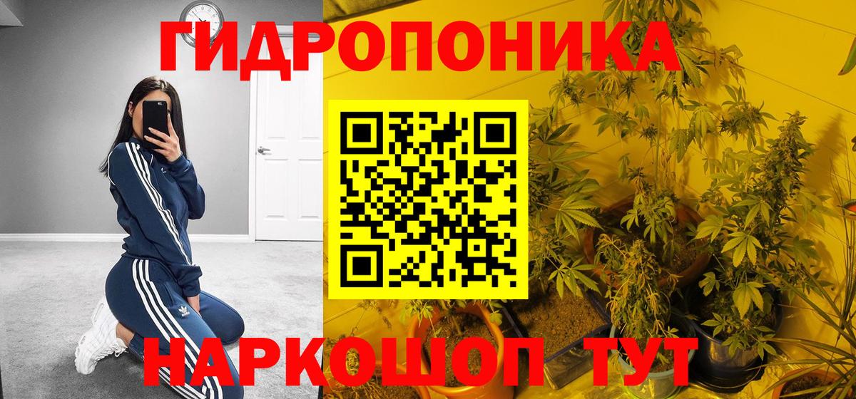 Шишки марихуана White Widow Дубна